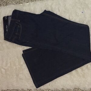 Ann Taylor LOFT Womens Dark Wash Modern Flare Jeans Sz 4 L